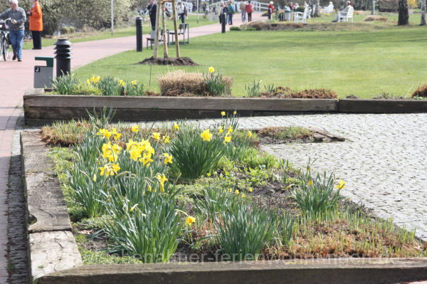 Frhlingsblumen im Kurpark